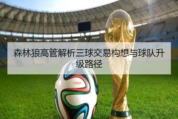 森林狼高管解析三球交易构想与球队升级路径